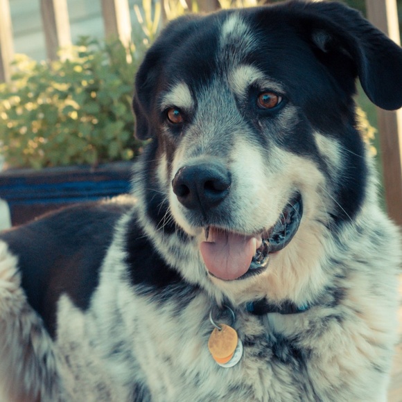 Meet your Posher, Ashley P - Picture 5 of 5